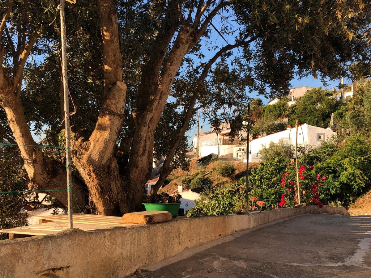 Casa Anneli - Relaxing Under The Olive Tree Villa Aljezur Exterior foto