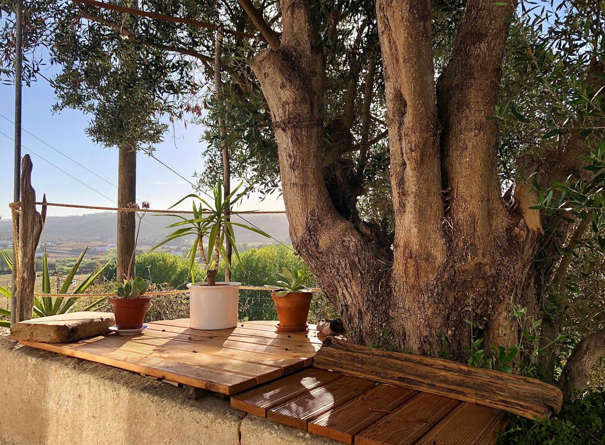 Casa Anneli - Relaxing Under The Olive Tree Villa Aljezur Exterior foto
